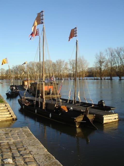 Appart Gite Les Oiseaux- Face Loire Quai Du Chatelet Orléans Exterior foto